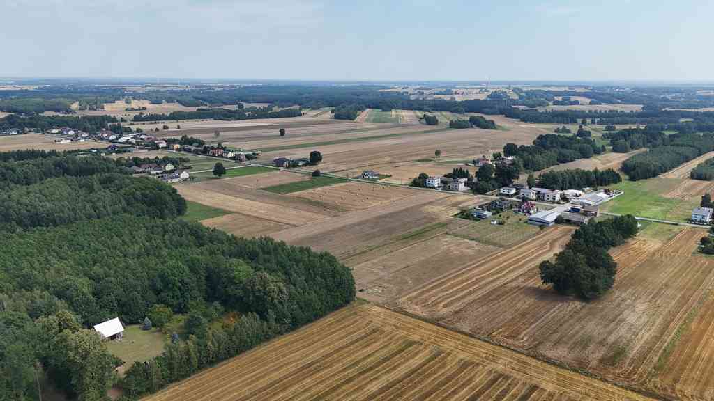 Zwierzyniec Drugi | Działka budowlano-rolna - zdjęcie 6