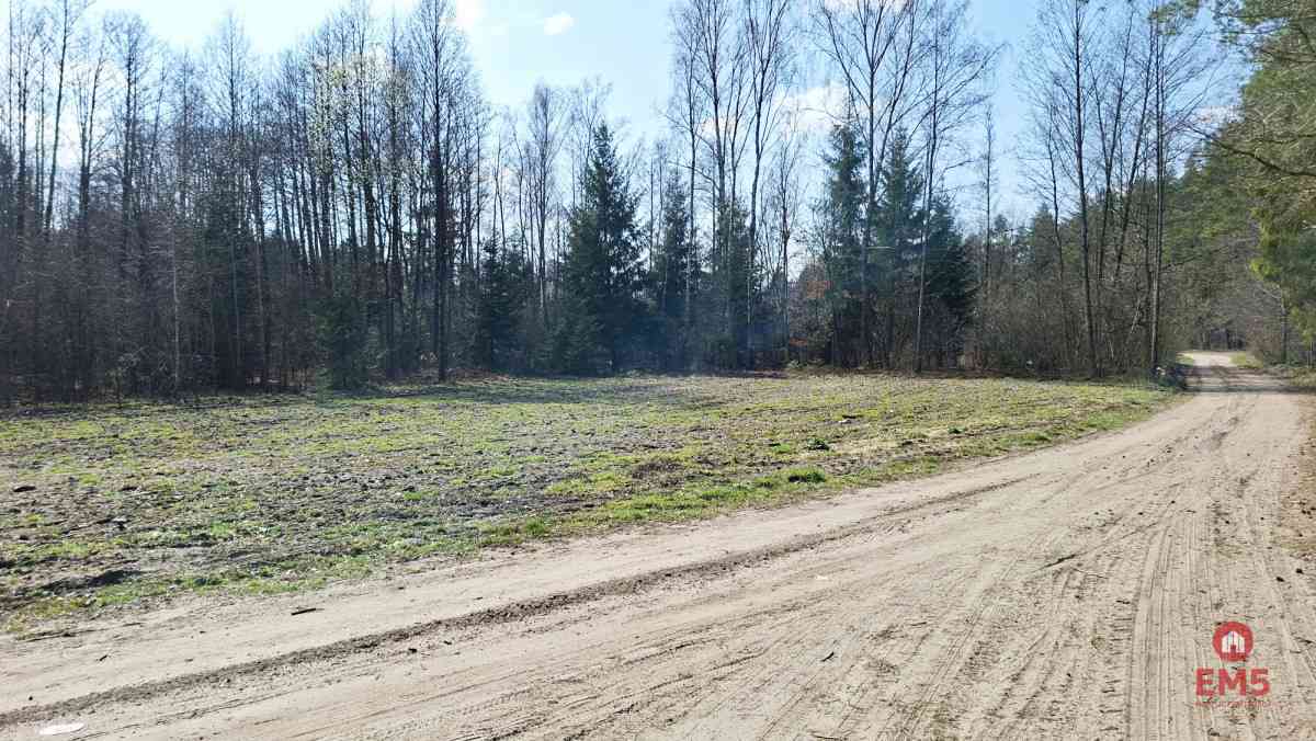 Działka budowlana pod lasem. 1085 m2 - zdjęcie 6