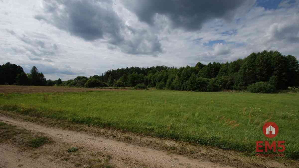 Działka w otulinie Puszczy Knyszyńskiej z WZ - zdjęcie 6