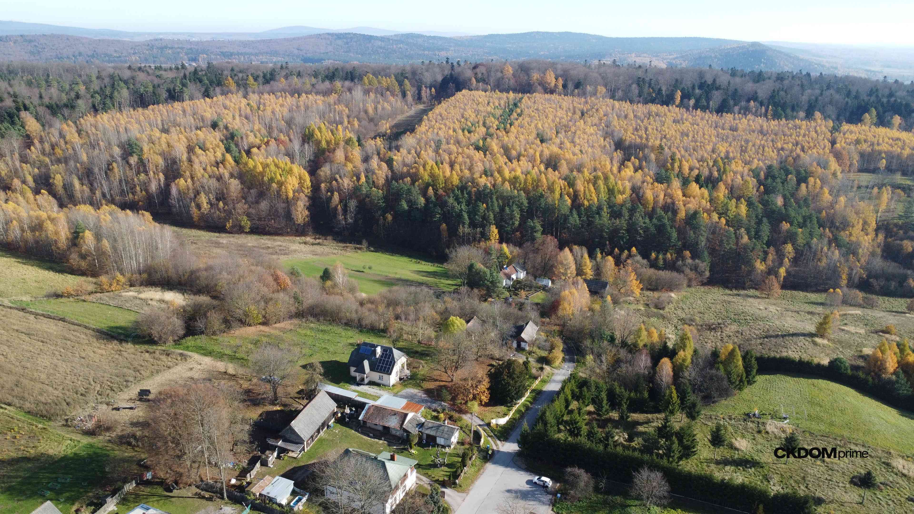 Działka inwestycyjna Cisów 22 500 m² - zdjęcie 3