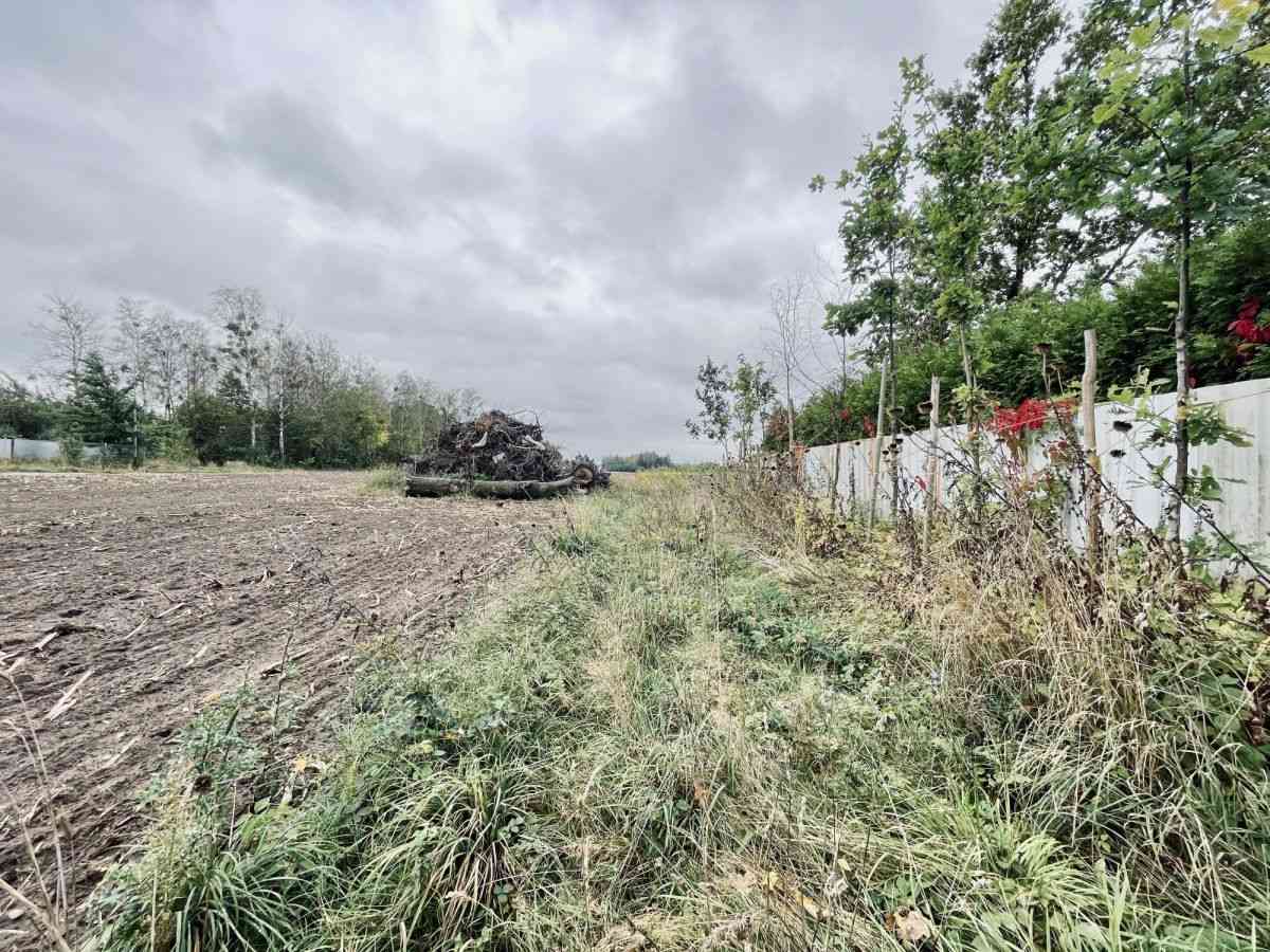 Działki budowlane 1000 m² | WZ + projekt domu - zdjęcie 10