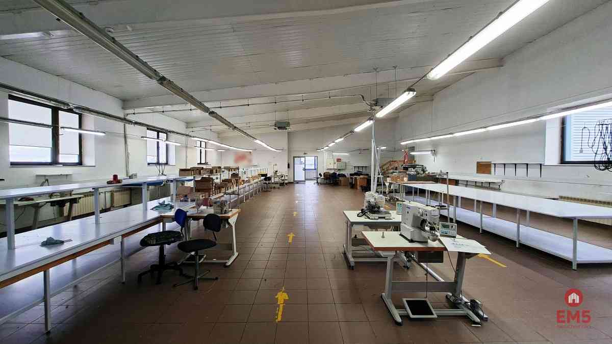 Lokal użytkowy 300 m2 na wynajem - zdjęcie 5