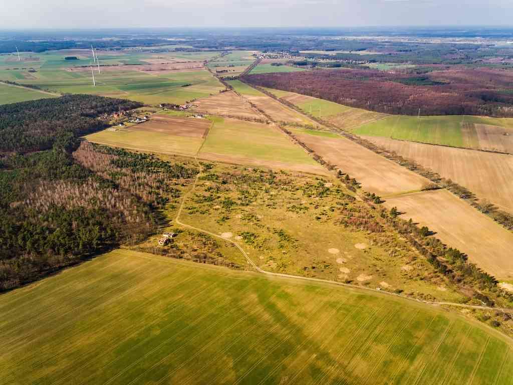 Działki na granicy Baczyna/Marwice miejscowy plan! - zdjęcie 4