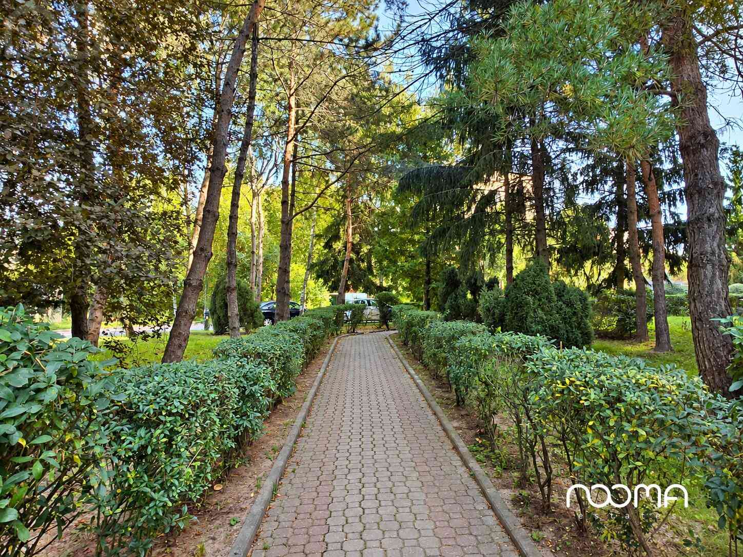 Lokal na gabinet lub biuro | 32 m² | po remoncie | Łódź Górna - zdjęcie 13