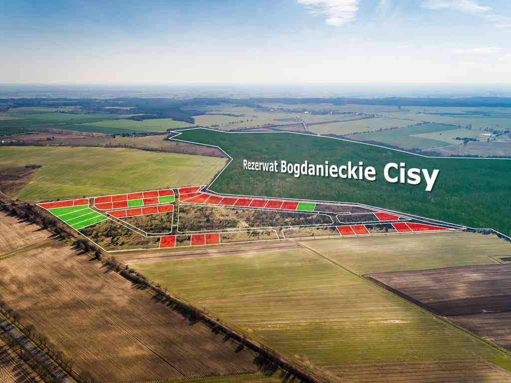 Działki na granicy Baczyna/Marwice miejscowy plan! - zdjęcie 6