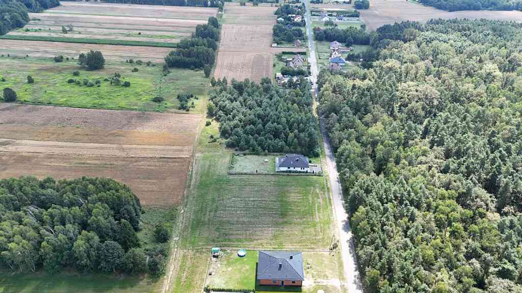 Krzepice, Dankowice-Piaski | Działka pod budowę - zdjęcie 3
