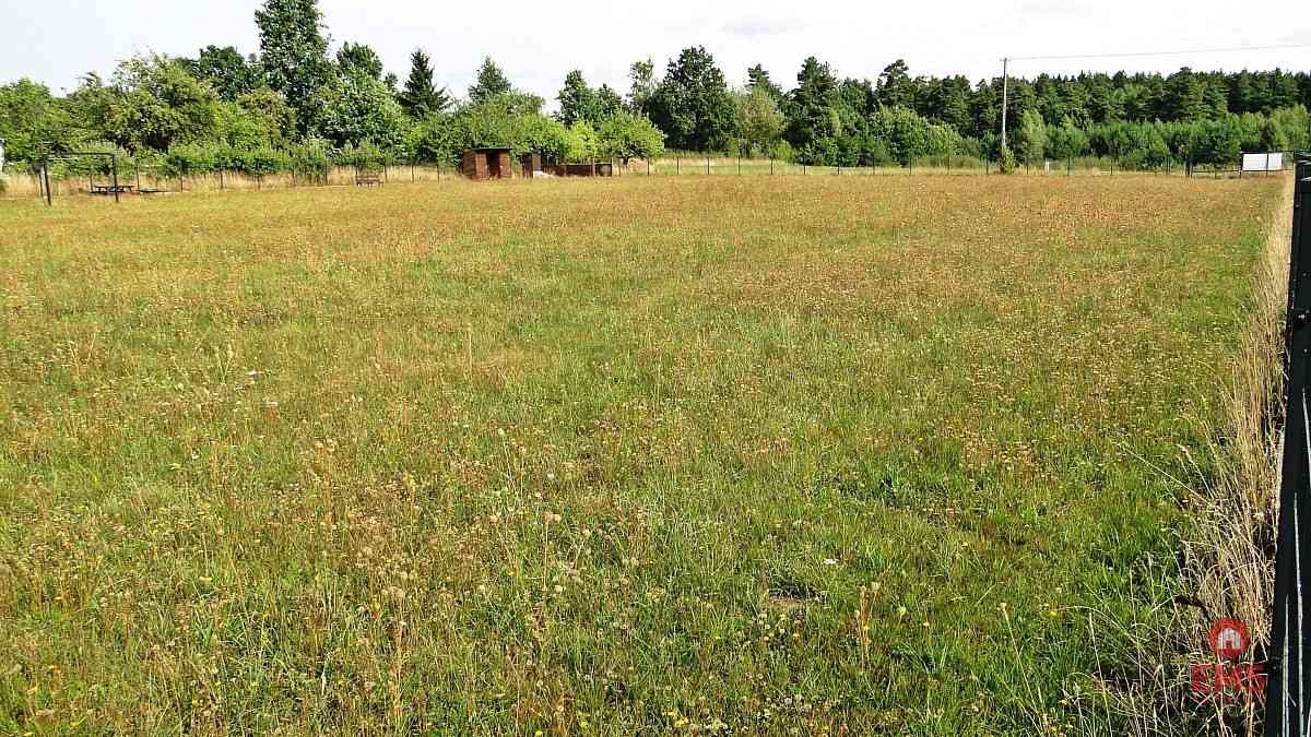 Działka rolno-budowlana 4000 m2, Letniki - zdjęcie 7
