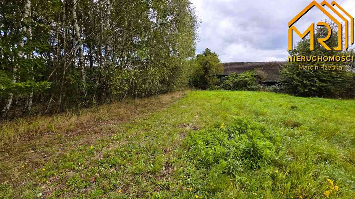 1 ha działki rolnej w gminie Szerzyny  - zdjęcie 15