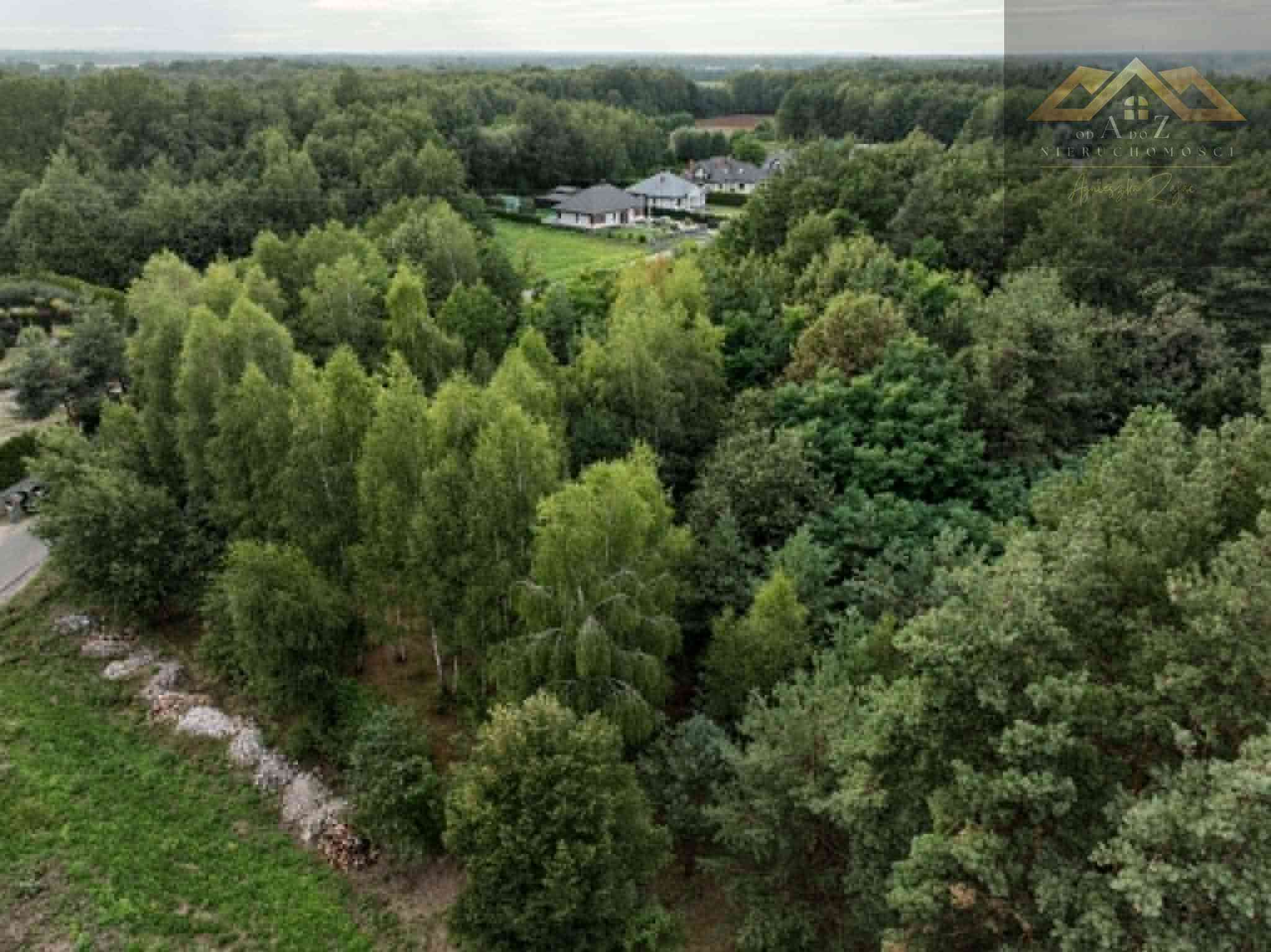 Działka w WZ i prywatnym lasem - zdjęcie 2