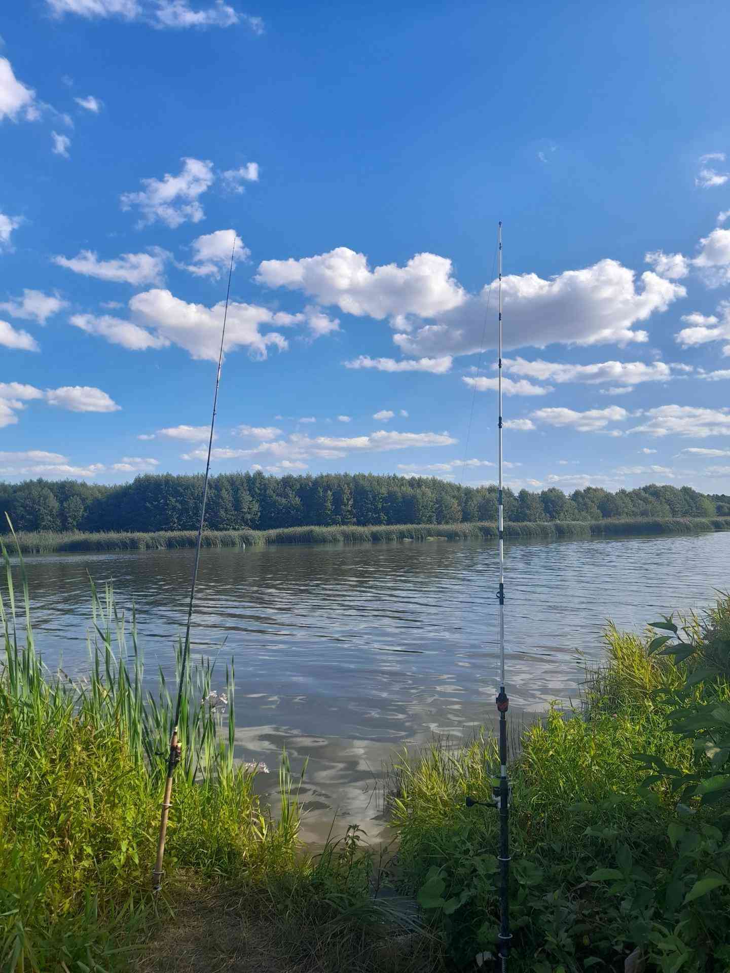 Działka budowlana⭐3599 M2 ⭐ Rzeka Bug⭐ Kania Nowa - zdjęcie 12