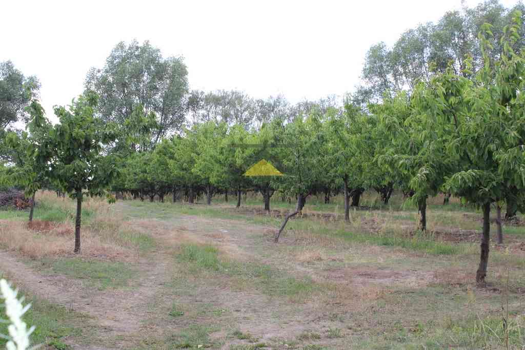 Działka budowlana Gorzów Wlkp., obręb Chróścik - zdjęcie 5