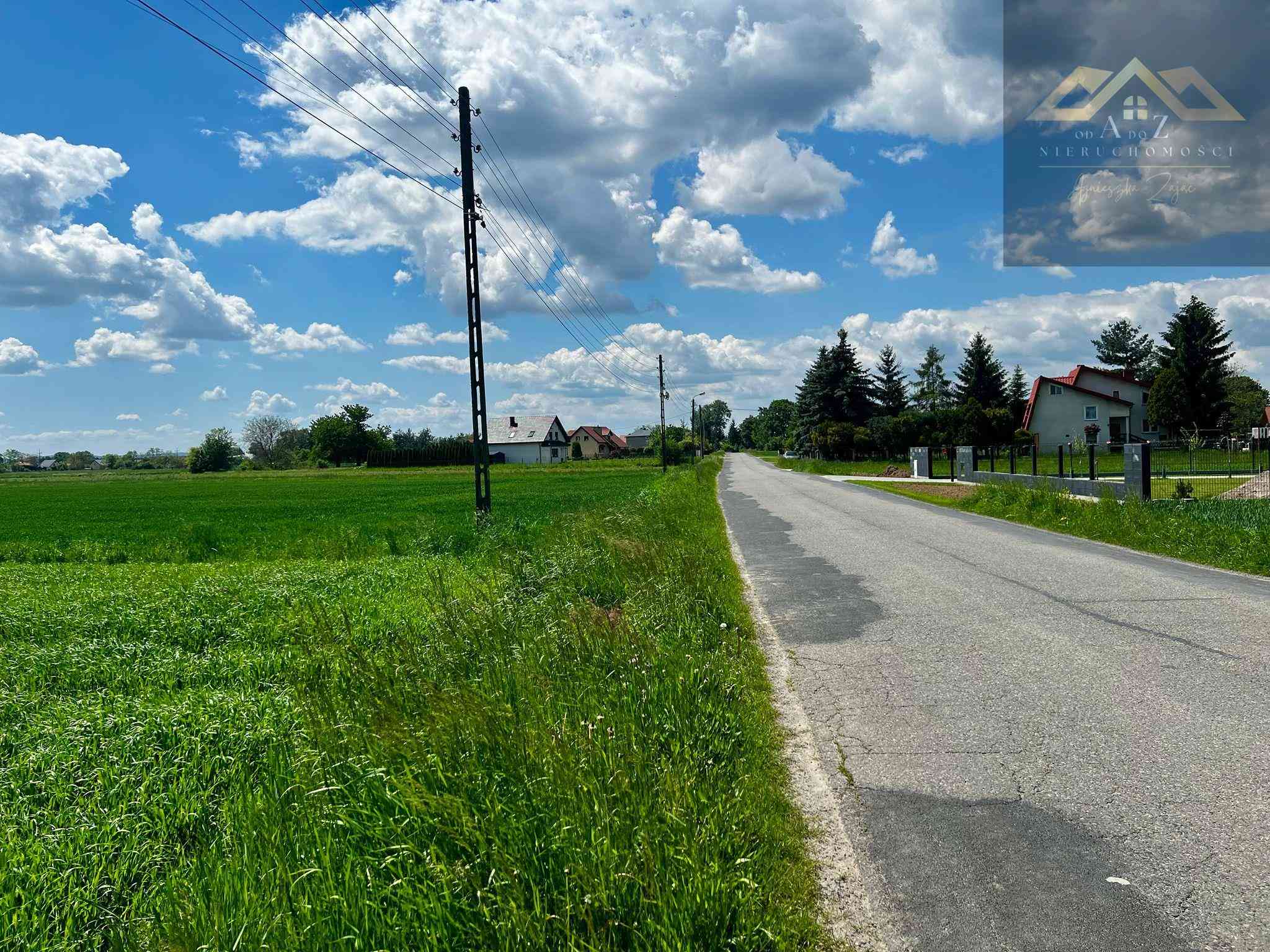 Duża działka blisko Tarnowa, gm. Wierzchosławice - zdjęcie 2