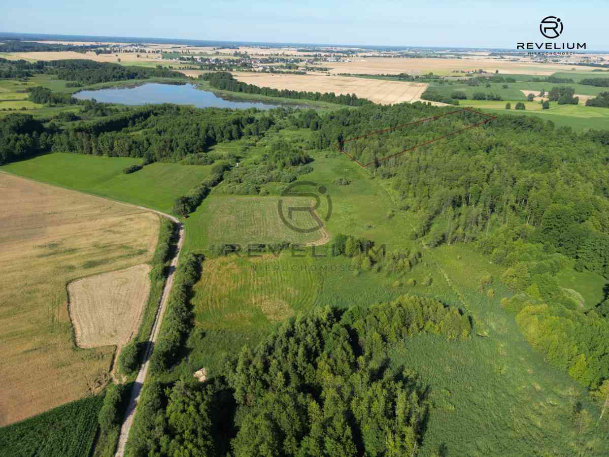 DZIAŁKA 2,38HA|JEZIORO|BORY TUCHOLSKIE - zdjęcie 2