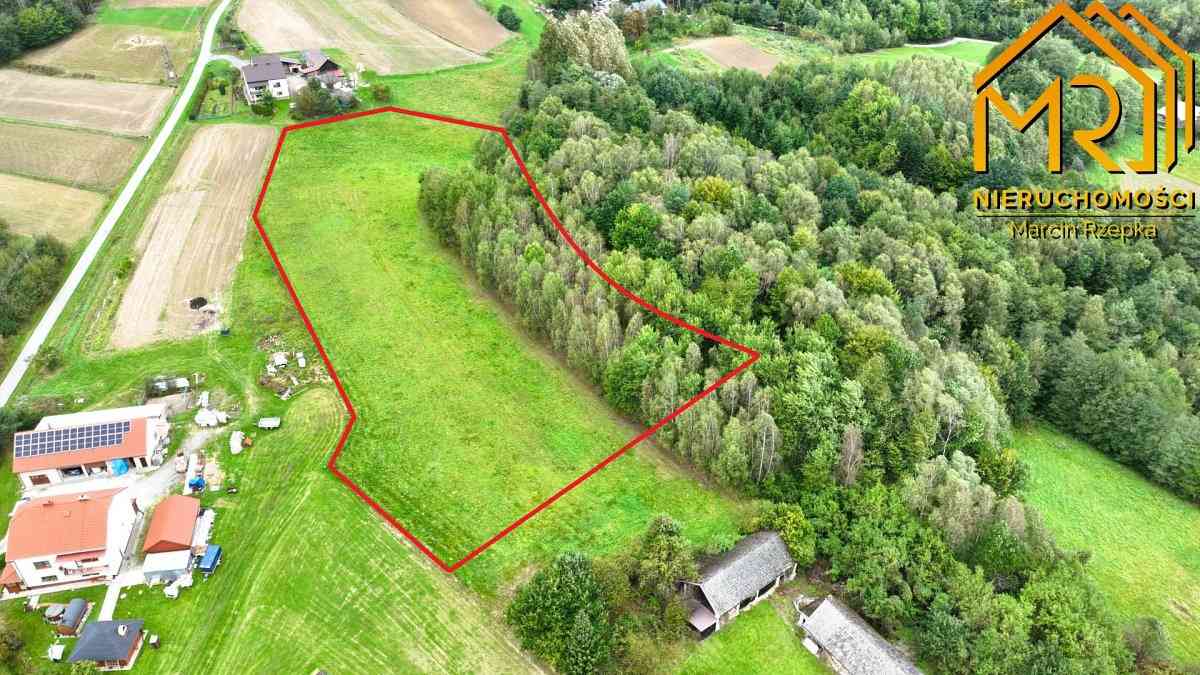 1 ha działki rolnej w gminie Szerzyny 