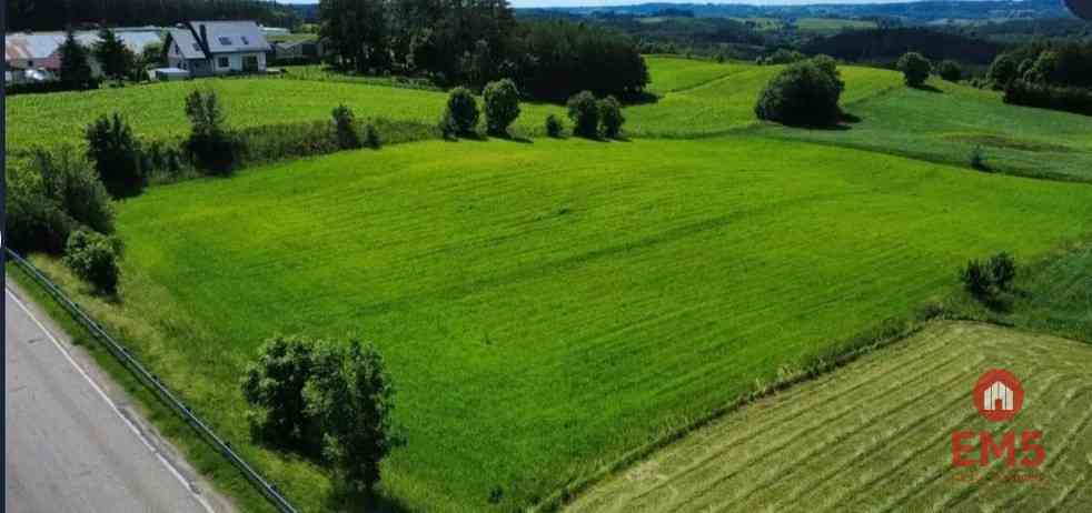 ATRAKCYJNA DZIAŁKA 8 964 m² – GULBIENISZKI - zdjęcie 3