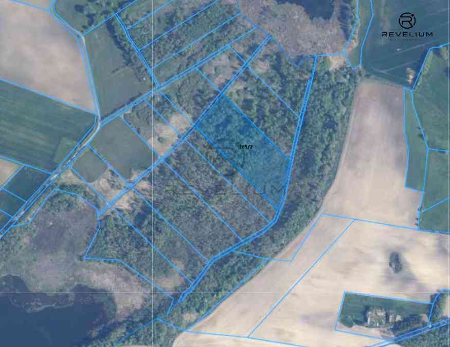 DZIAŁKA 2,38HA|JEZIORO|BORY TUCHOLSKIE - zdjęcie 5