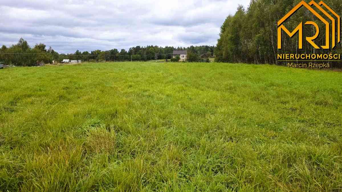 1 ha działki rolnej w gminie Szerzyny  - zdjęcie 5