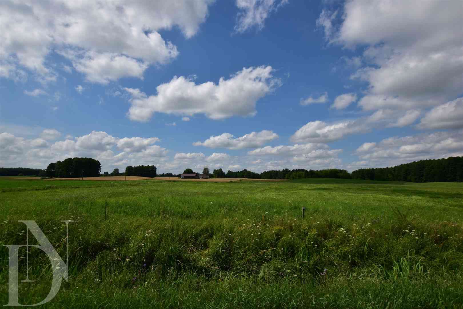 Działki 11095 m² koło Jeziora Dręstwo NOWA CENA!!! - zdjęcie 5