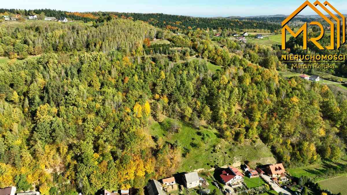 Widokowa działka rolna z panoramą na Dunajec - zdjęcie 19