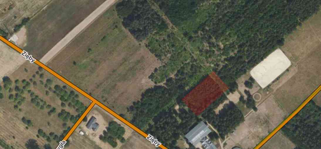Działka budowlana ** 3000 m2 **, 35 km od Warszawy - zdjęcie 2