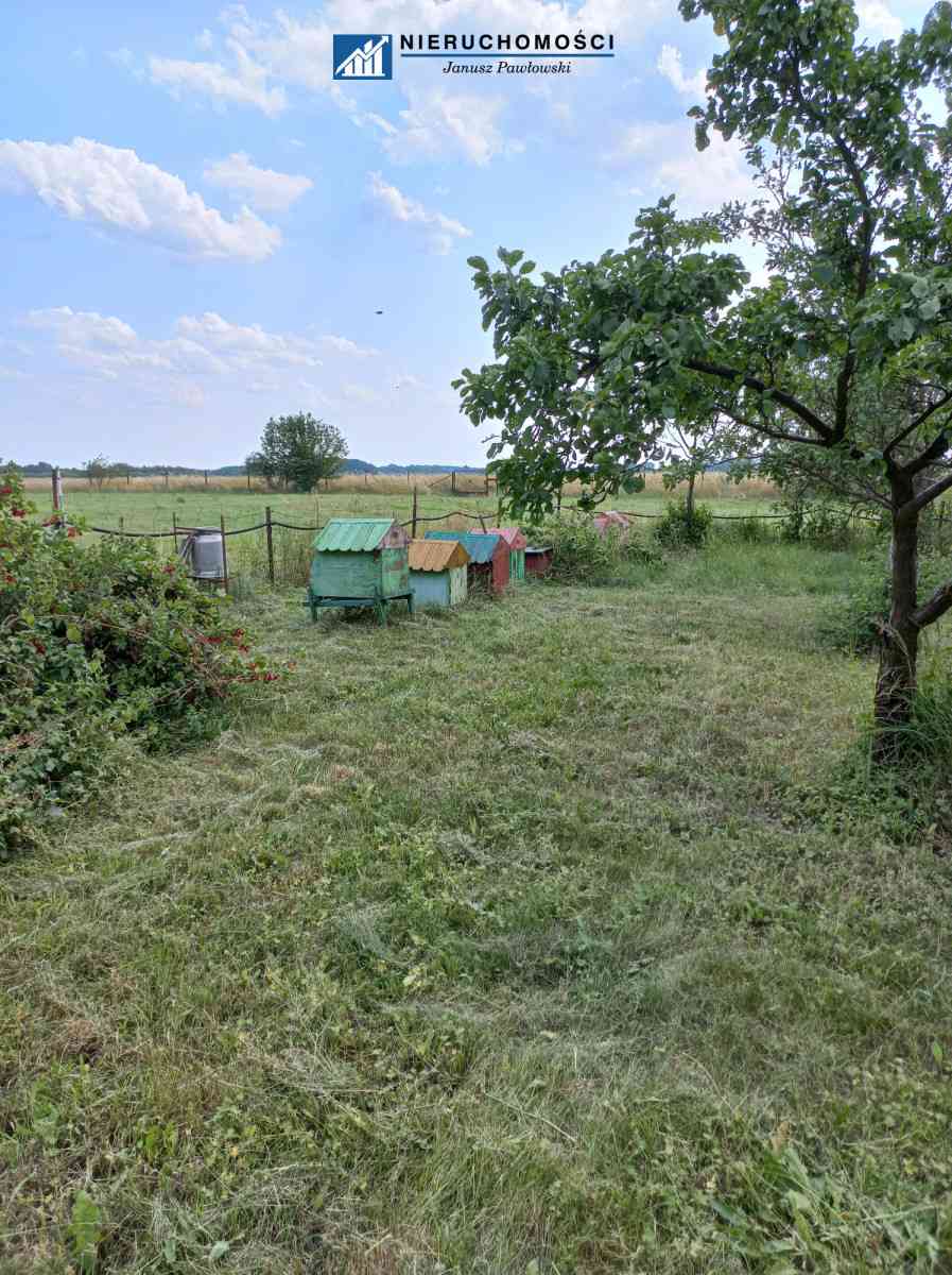 Dom wolnostojący 250m2 | Działka 34ar | Budynki - zdjęcie 9