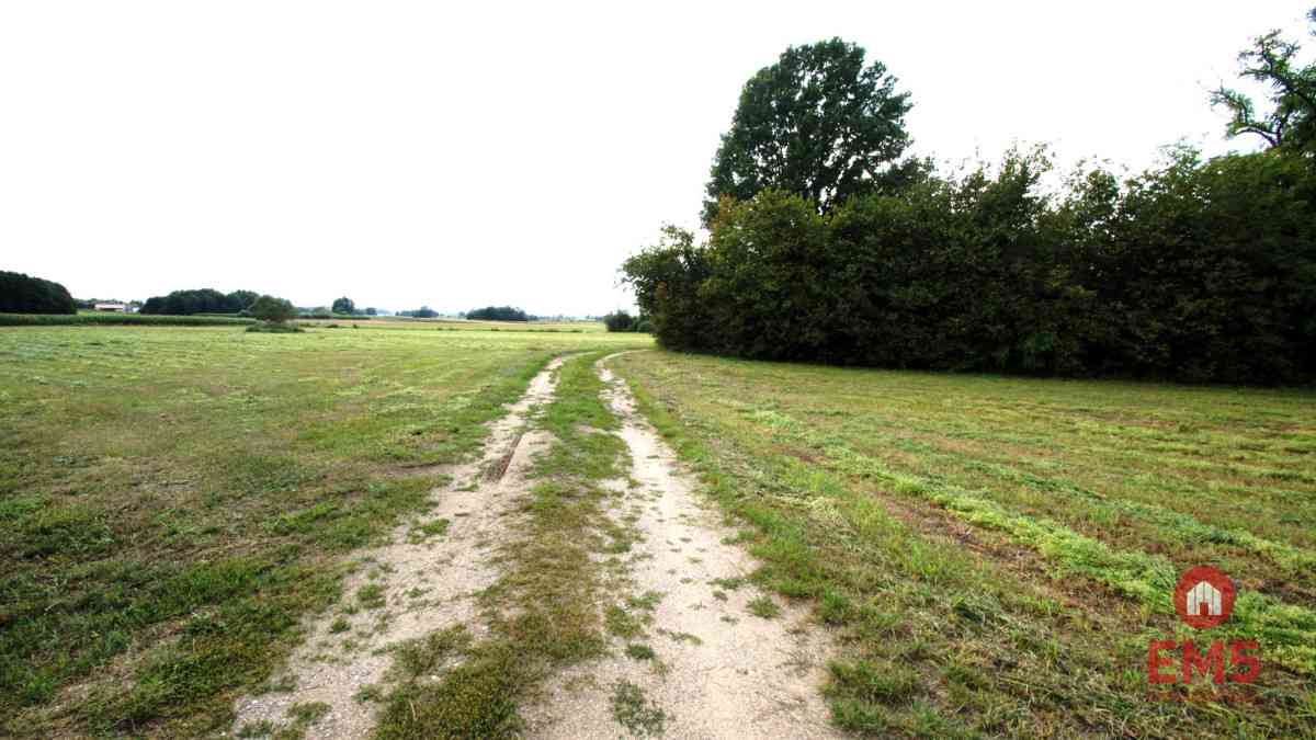 Budynek/hala na wynajem w pobliżu Jeżewa Starego - zdjęcie 8