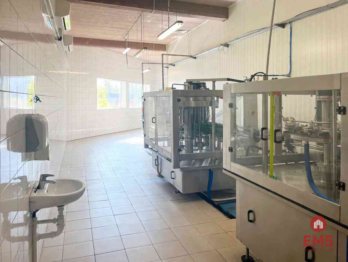 Budynek 800 m2  handel-usługi-produkcja - zdjęcie 7