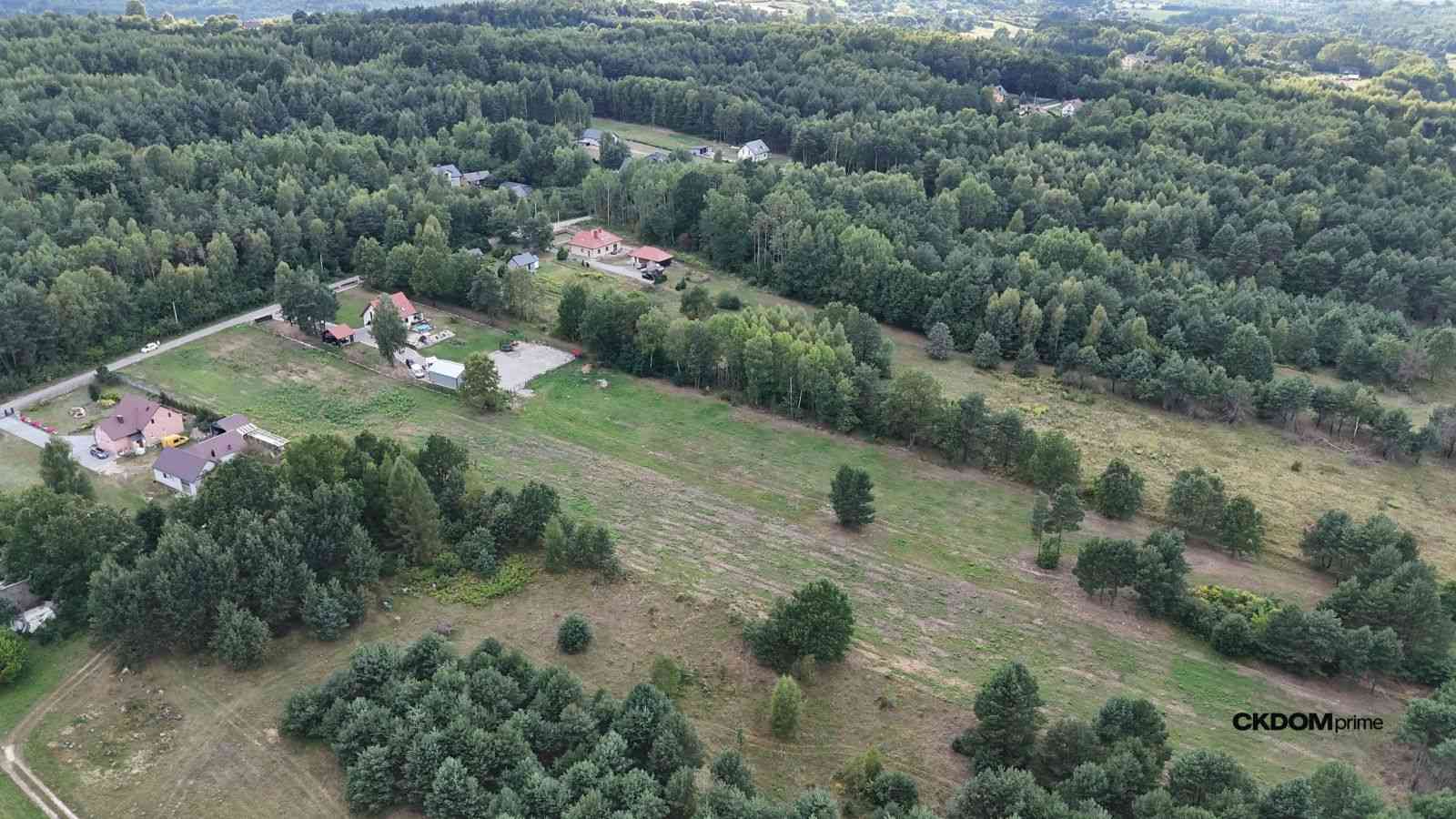 Działka na sprzedaż 910 m2 Gałęzice gm. Piekoszów - zdjęcie 7
