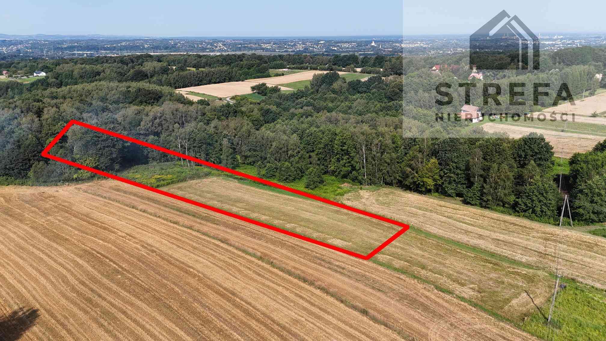 Malownicza działka zagrodowa z prywatnym lasem (30,48 ara) – Poręba Radlna pod Tarnowem