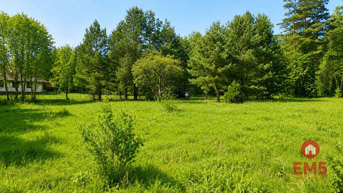 Działka 1792 m2, Pieńki - zdjęcie 4