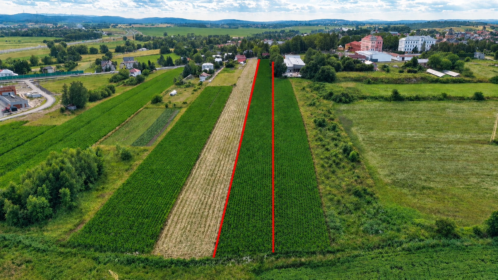 SPRZEDAM DOM  Z DZIAŁKĄ 89 ARÓW – MIEJSCE PIASTOWE, ATRAKCYJNA LOKALIZ - zdjęcie 2