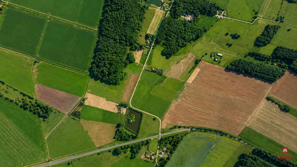 Działka budowlana 2160 m2. Nowosiółki - zdjęcie 4