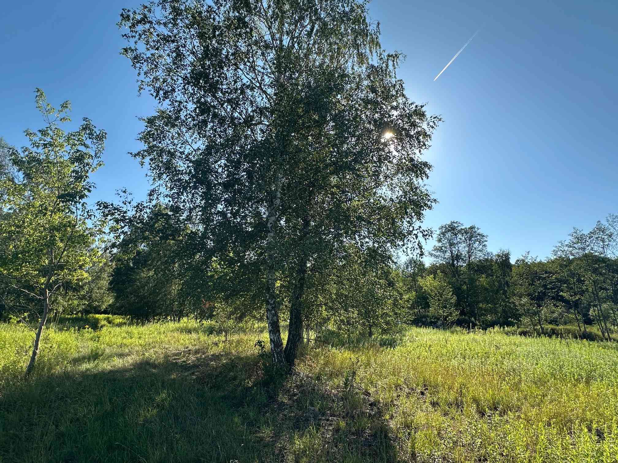 Działka budowlana 916 m² Łomianki w sąsiedztwie Puszczy Kampinoskiej - zdjęcie 4