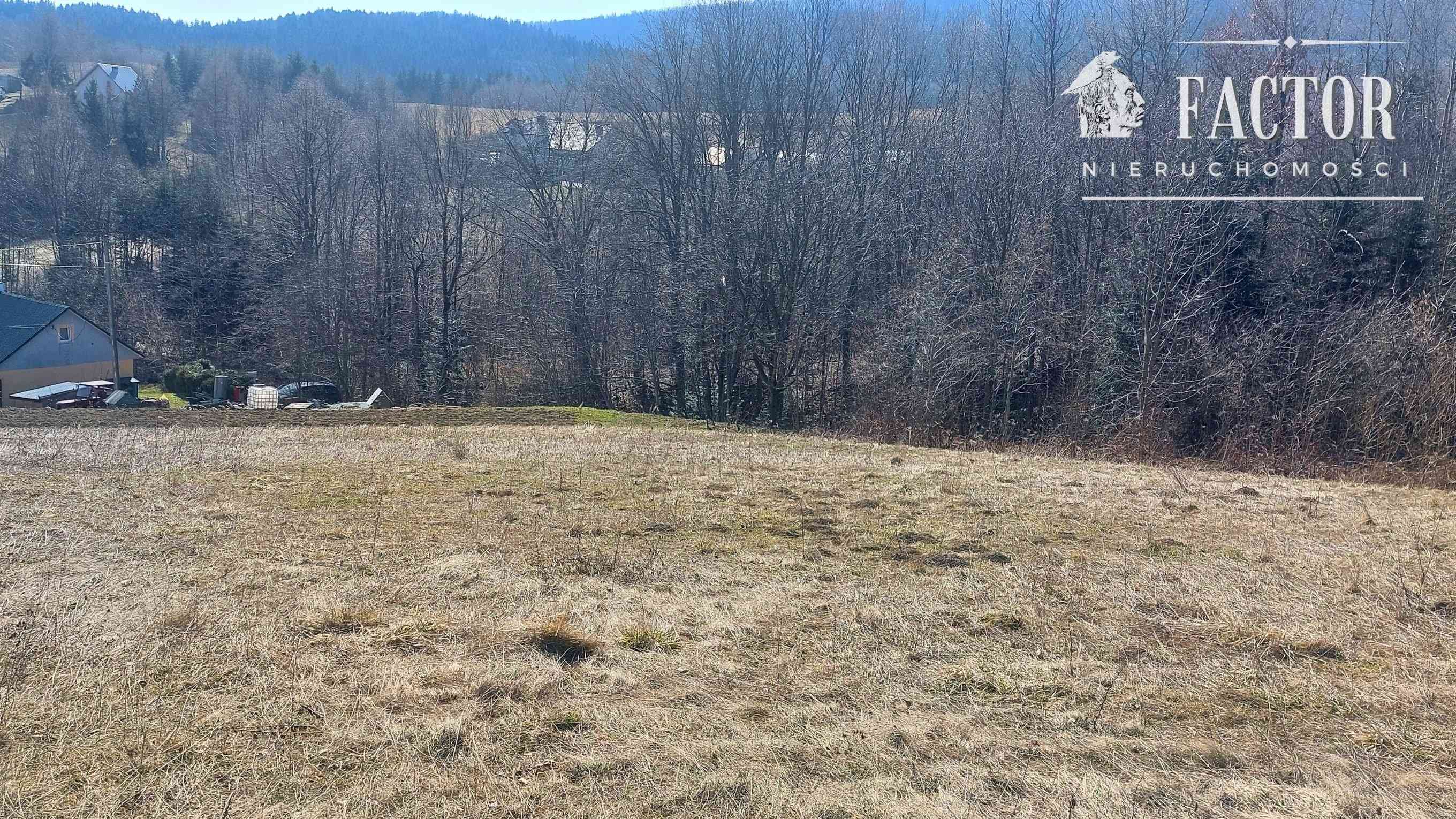Działka budowlana 1279 m² w Bieśniku, gm. Łużna - zdjęcie 7