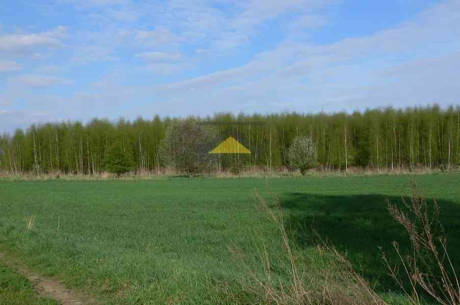 Działka rolna na sprzedaż 86A Gorzów Wlkp. - zdjęcie 2