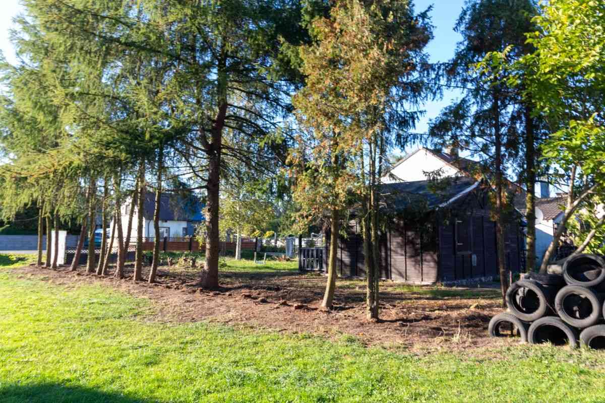 Przytulny domek letniskowy w Kochanowicach - zdjęcie 13