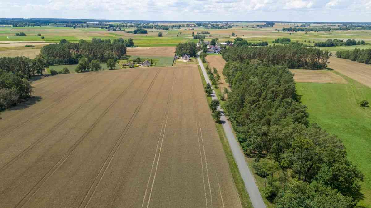 Działka budowlana Gaz woda kanalizacja blisko las - zdjęcie 11