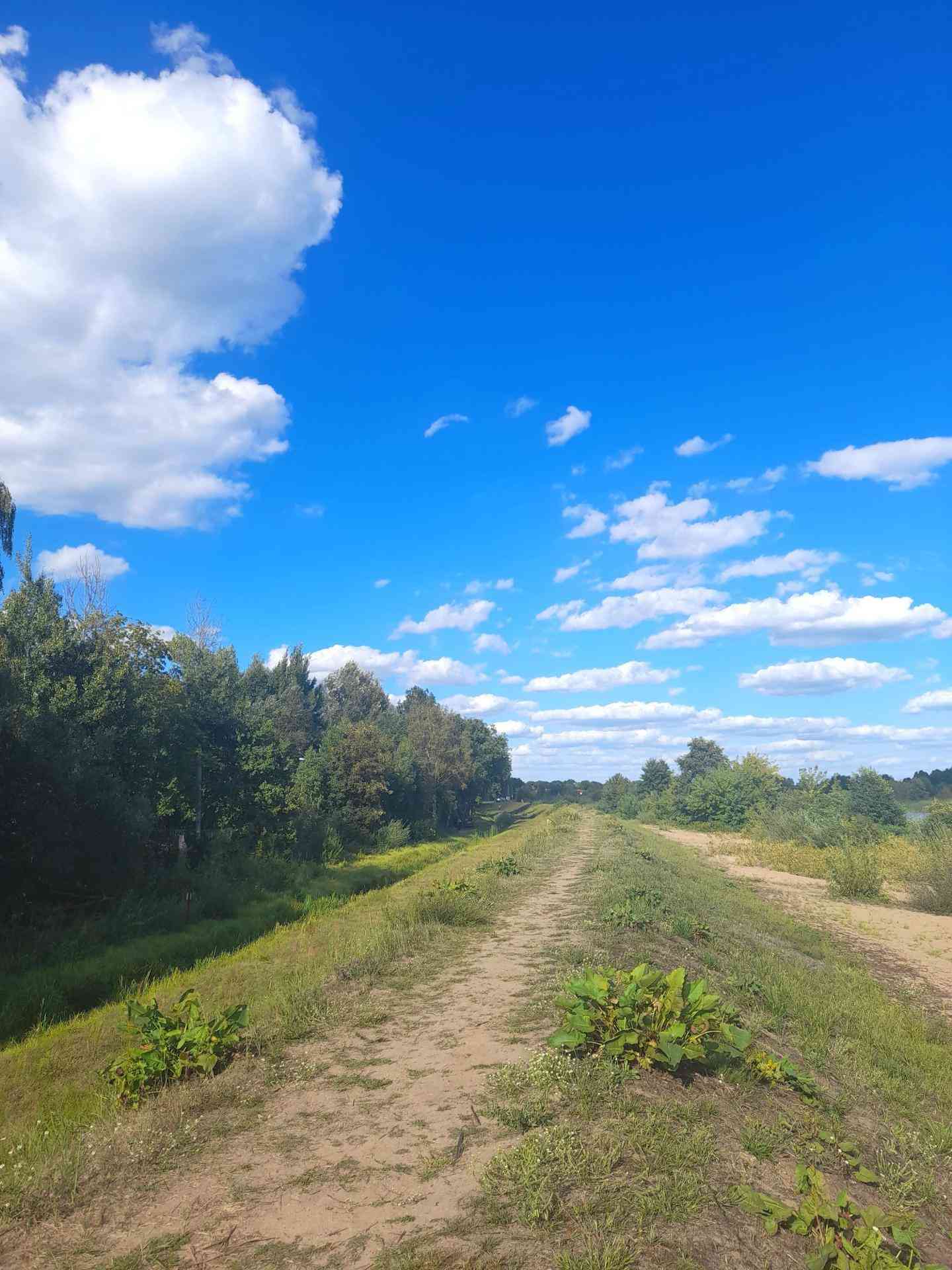 Działka budowlana⭐3599 M2 ⭐ Rzeka Bug⭐ Kania Nowa - zdjęcie 6