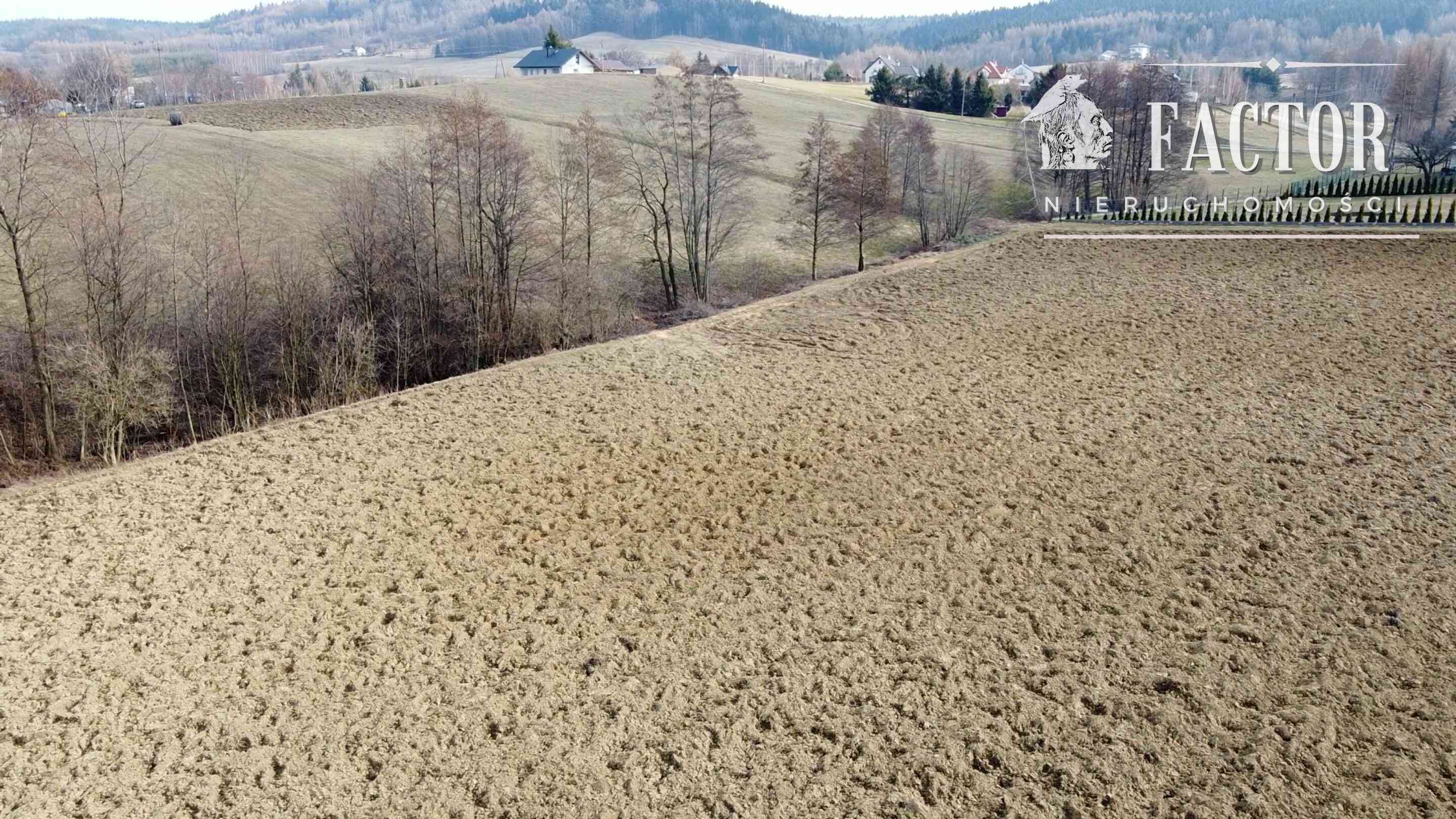 Działka budowlana na sprzedaż Dominikowice - zdjęcie 8