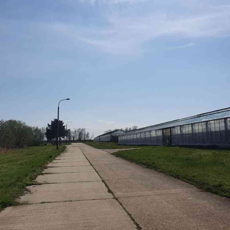 Nieruchomość rolna 39,83 ha z szklarniami – Dłużyna Górna - zdjęcie 6