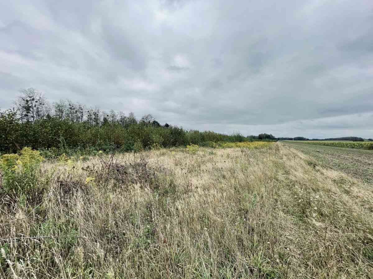 Działki budowlane 1000 m² | WZ + projekt domu - zdjęcie 19