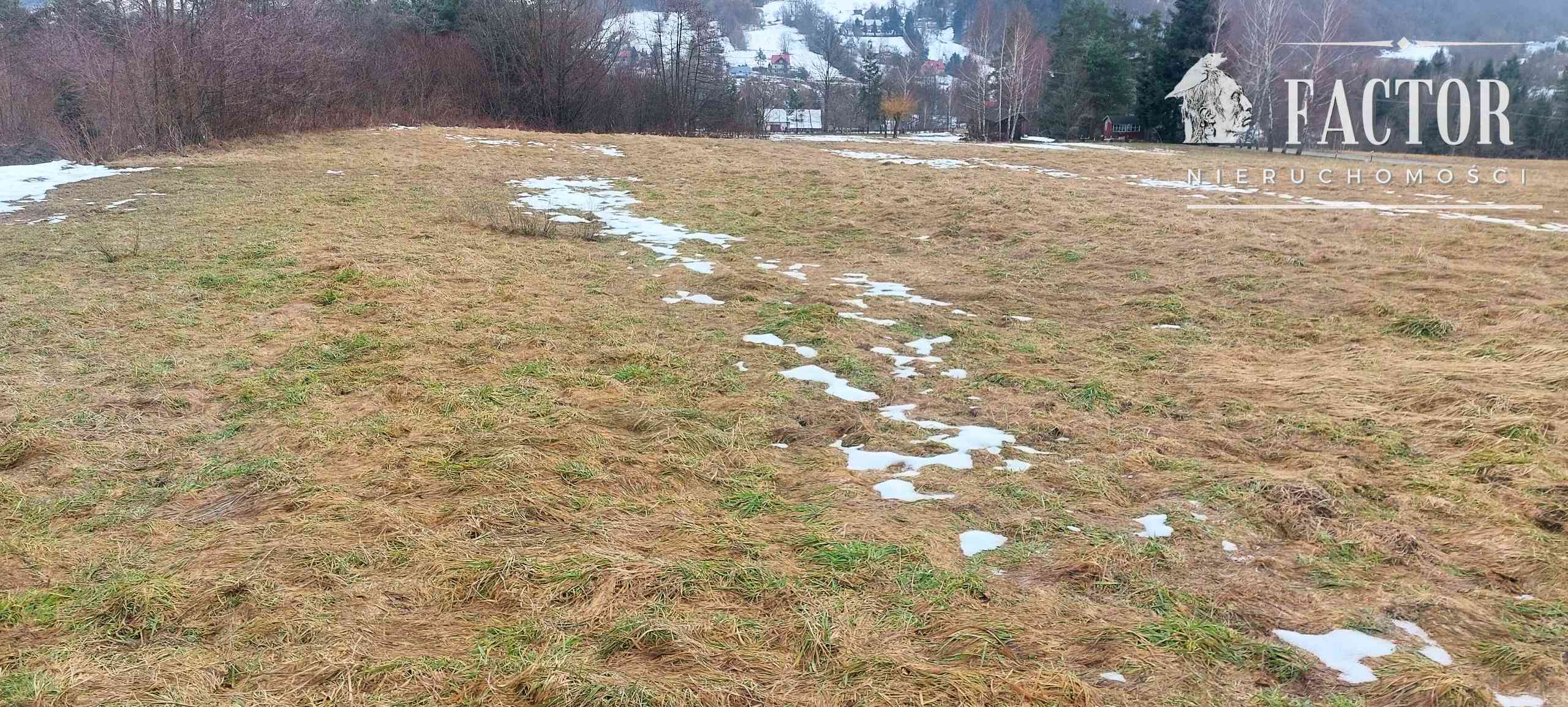 Siary działka budowlano-rolna 0,53 ha 1169S - zdjęcie 5