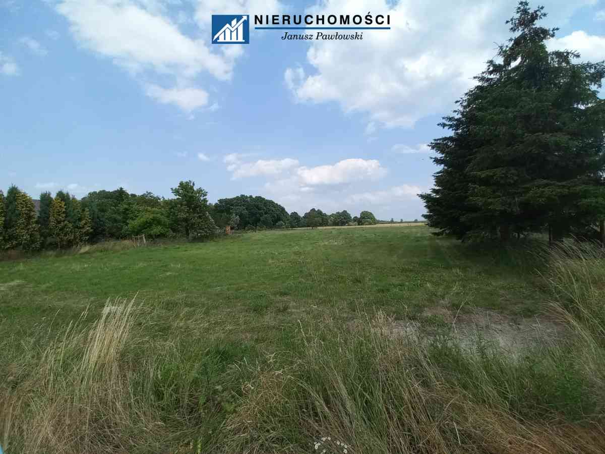 Dom wolnostojący 250m2 | Działka 34ar | Budynki - zdjęcie 29