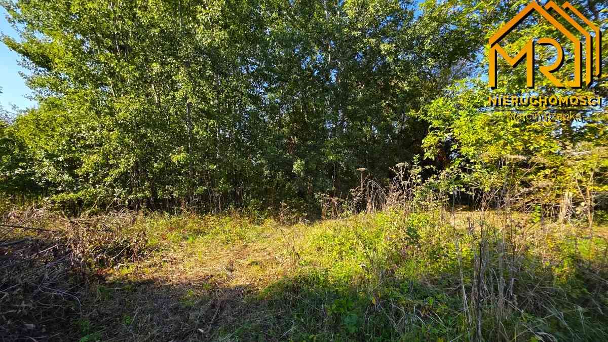 Drewniany dom do remontu – Siedliszowice, gm. Żabn - zdjęcie 33