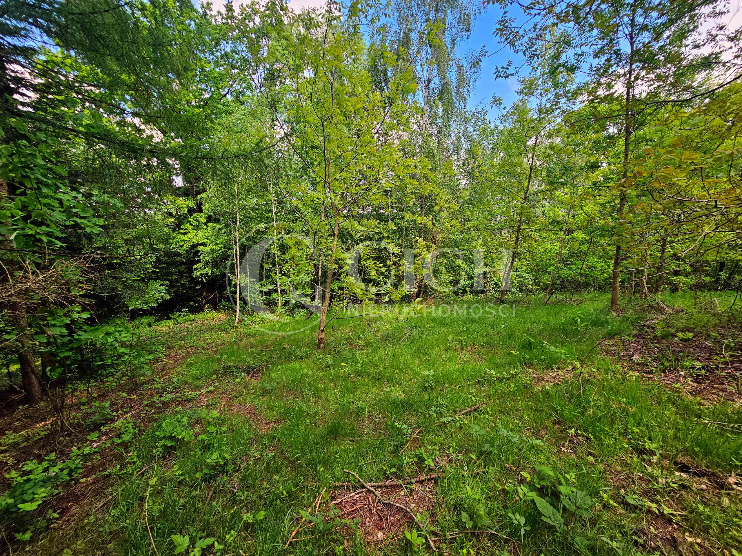 Działka budowlano-leśna 0,8445 ha | Łękawka gm. Tarnów - zdjęcie 14