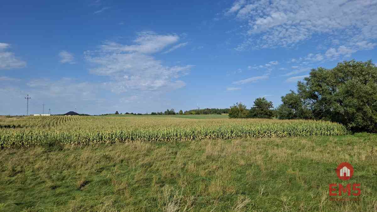 Działka inwestycyjna przy S8 - zdjęcie 4