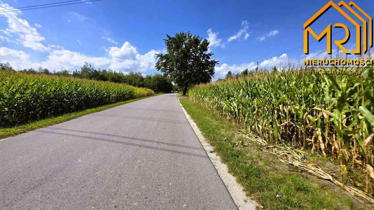 Dom parterowy z antresolą – Wierzchosławice, 13 km - zdjęcie 25