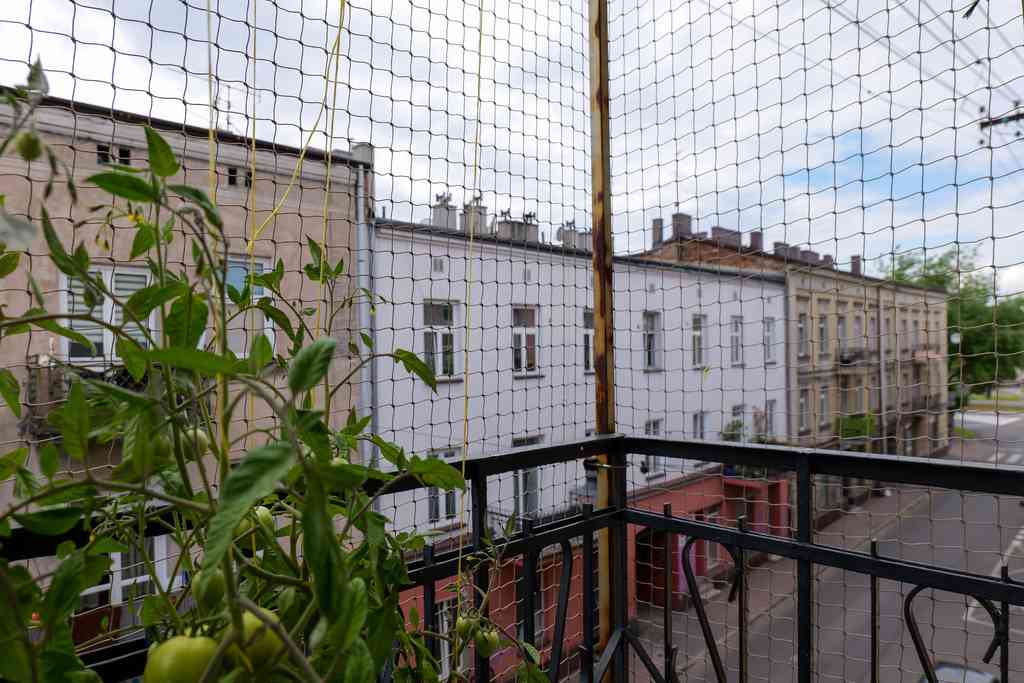 Częstochowa, ul. Ogrodowa | Mieszkanie na sprzedaż - zdjęcie 10