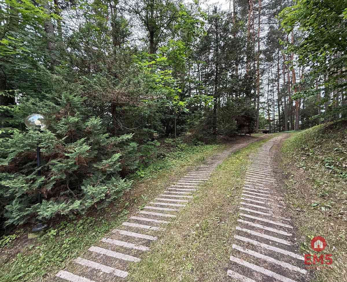 Dom w otulinie lasu blisko miasta - zdjęcie 7