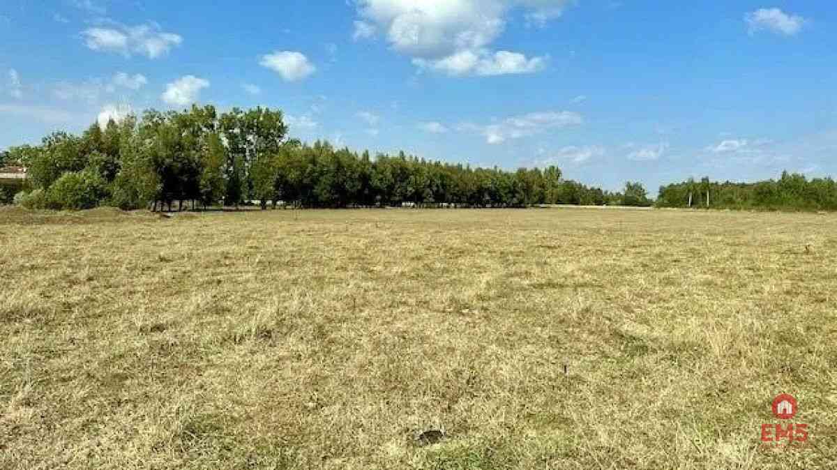 Działka budowlana 1425 m2, Rafałówka - zdjęcie 4